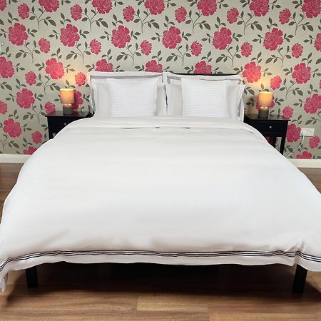 Entire Pinkapt - Free Parking - Up To 4 Guests - 3 Beds - Close To City Centre Belfast Eksteriør billede