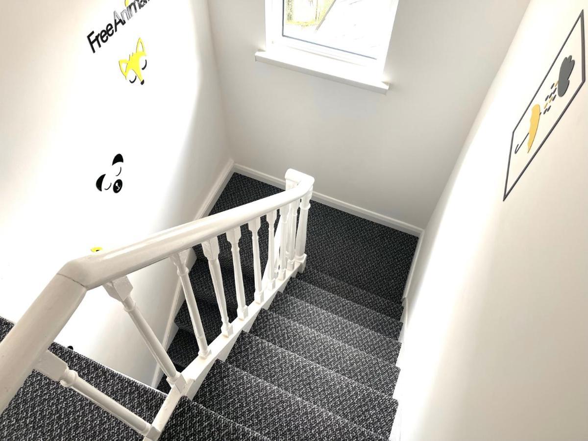 Entire Pinkapt - Free Parking - Up To 4 Guests - 3 Beds - Close To City Centre Belfast Eksteriør billede