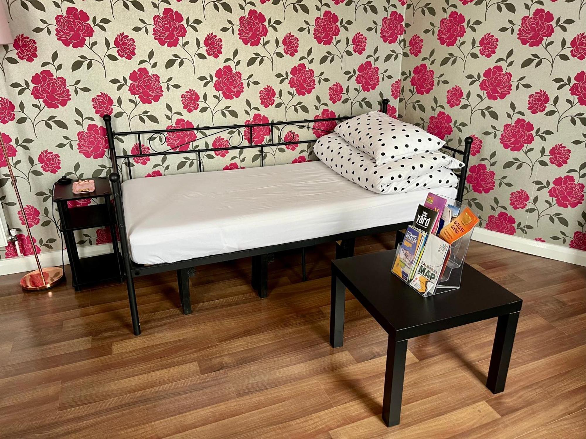 Entire Pinkapt - Free Parking - Up To 4 Guests - 3 Beds - Close To City Centre Belfast Eksteriør billede